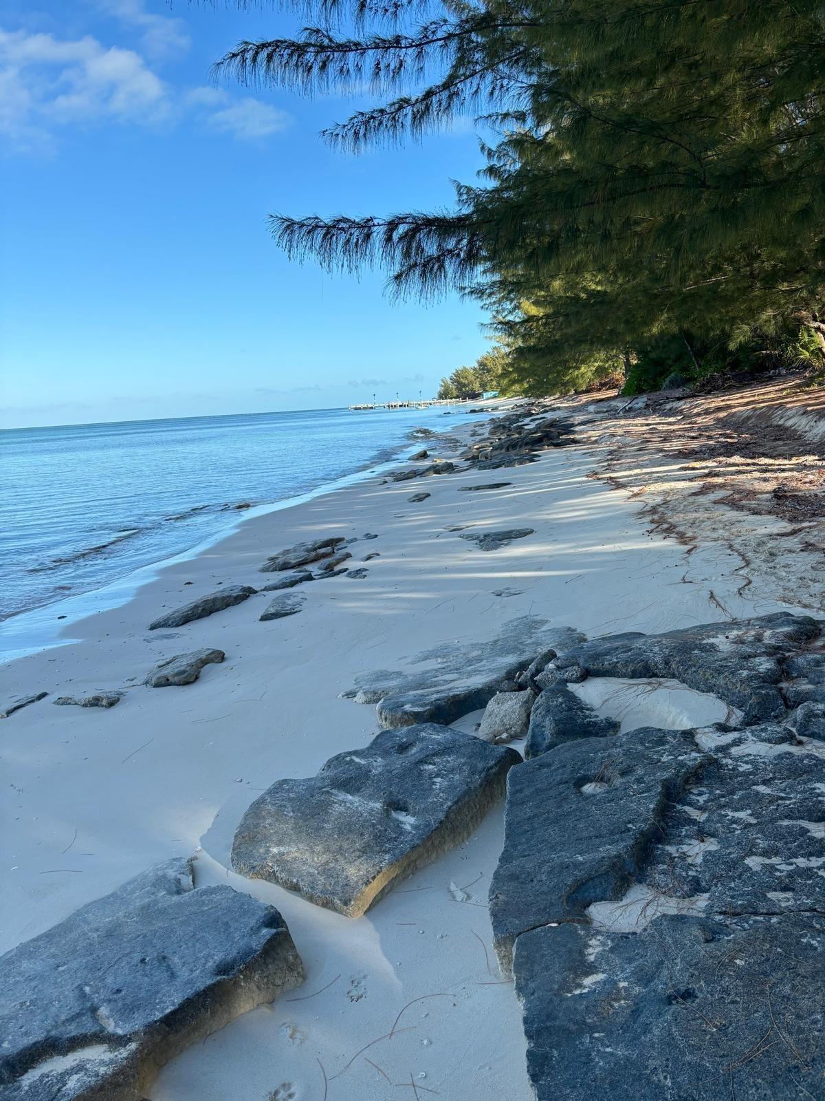3 bedroom Residence for sale — 5 ACRES IN SANDY POINT, A in Abaco Islands, The Bahamas — photo 3