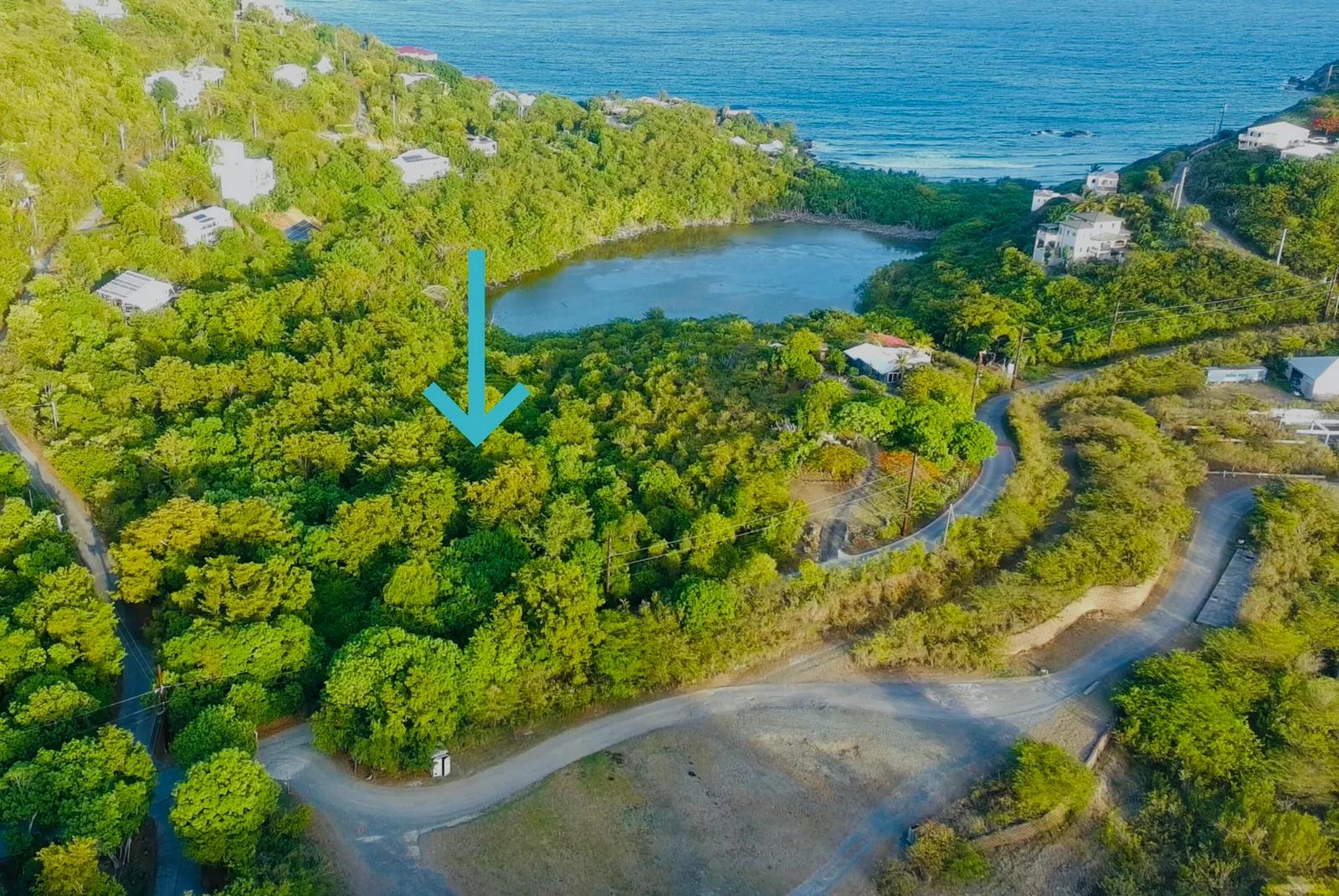 12.02 Acre Residential Lot in Chocolate Hole, St. John — photo 3