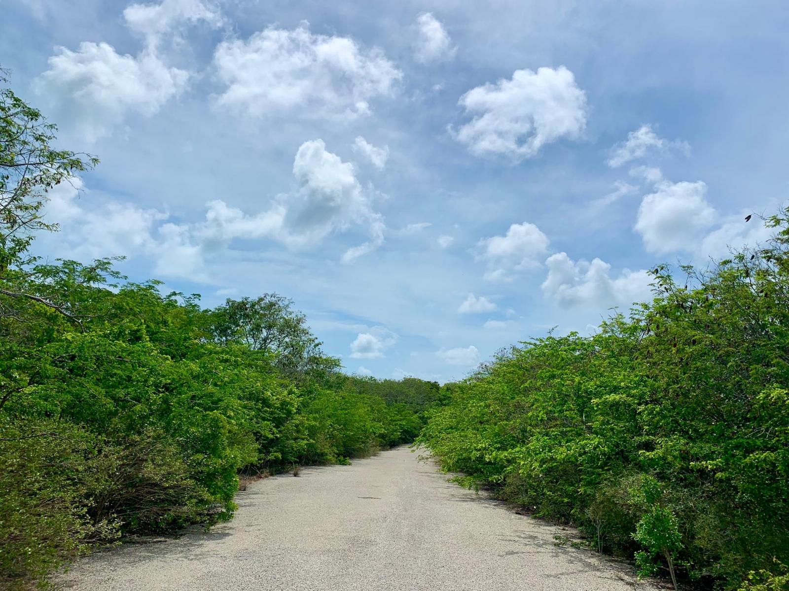 EXUMA VIEW in Exuma, The Bahamas — photo 3