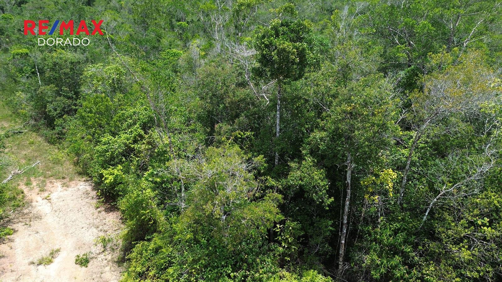 Prime 19.16-Acre Property for Sale — photo 5