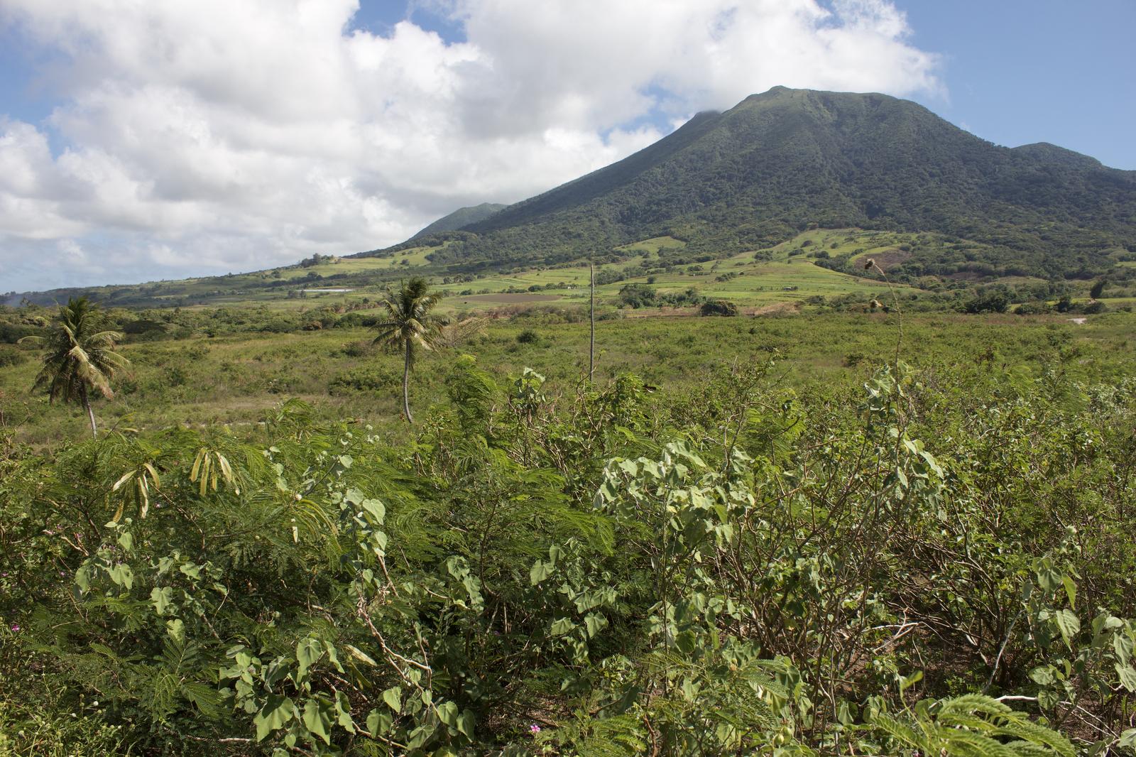 0.17 Acre Lot for Sale, Beaumont Country Estates, St Kitts — photo 5