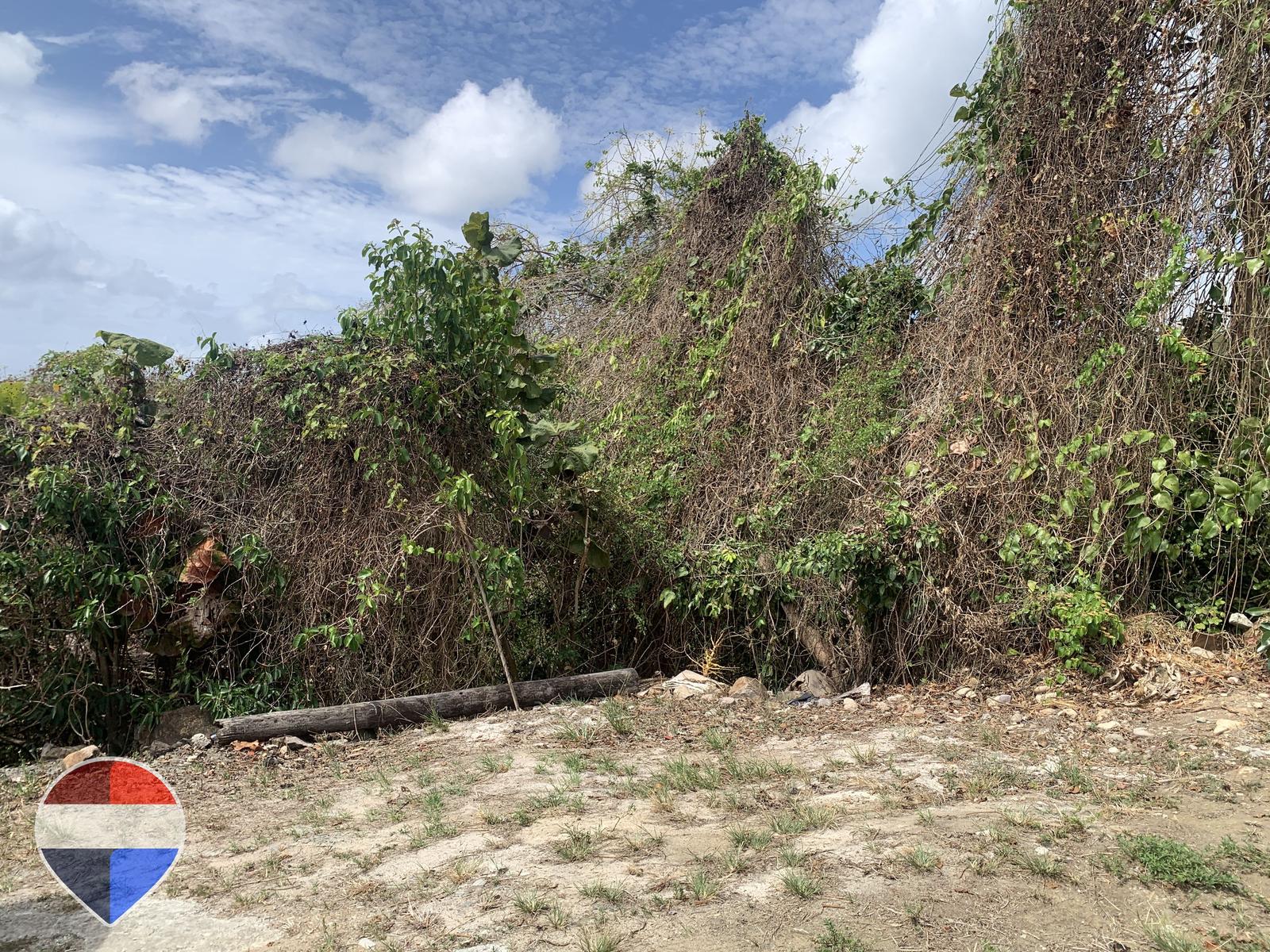 Cliffside Coastal Lots with Stunning Sea Views in Anse La Raye — photo 2