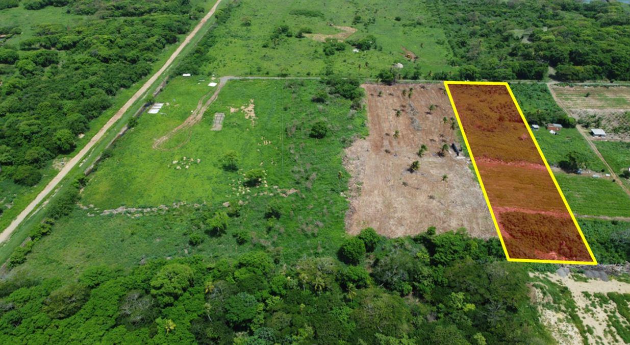 5 Acres of Prime Tobago Land For Sale Near to Cove Reef — photo 3