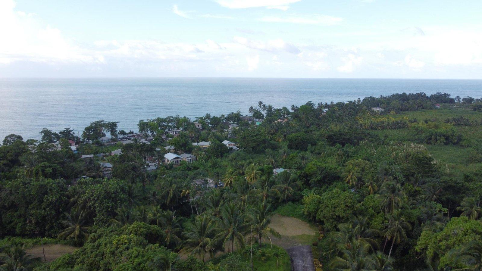 33 Acres of Development Land for Sale, St Margaret's Bay, Portland, Jamaica — photo 5