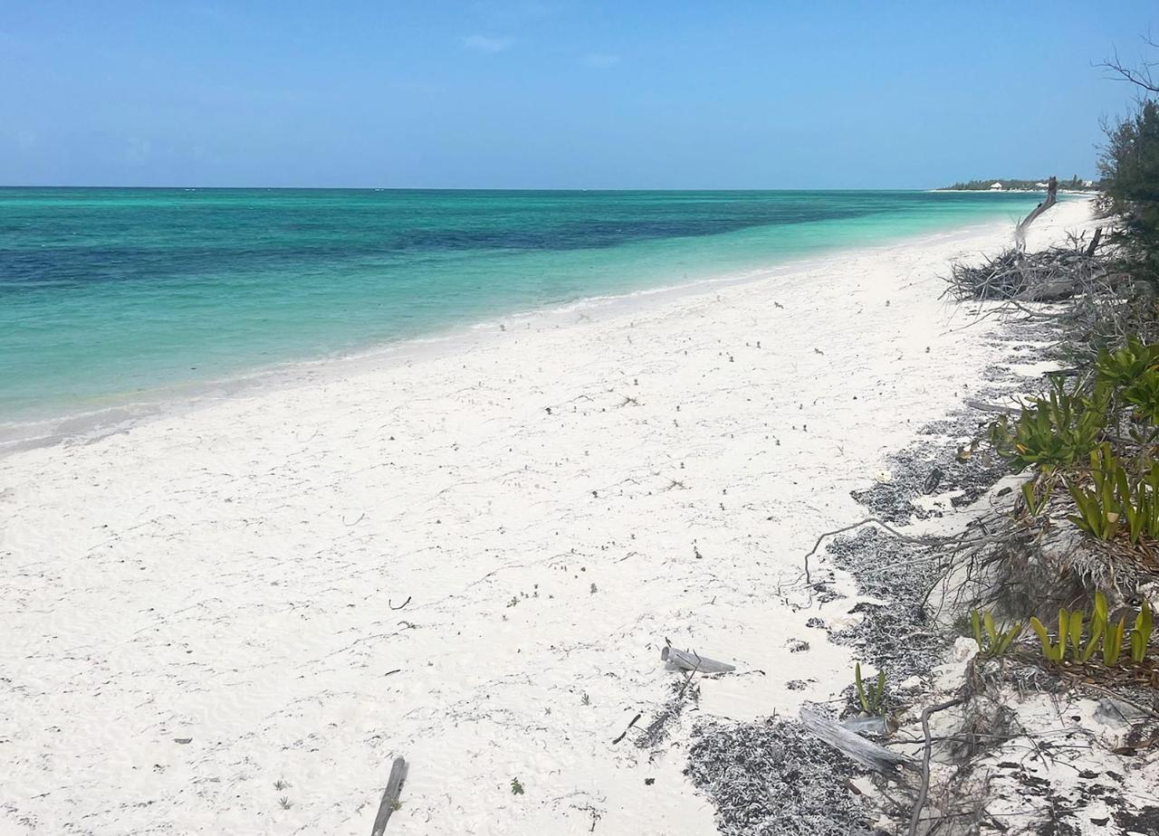 Two Beachfront Lots — photo 2
