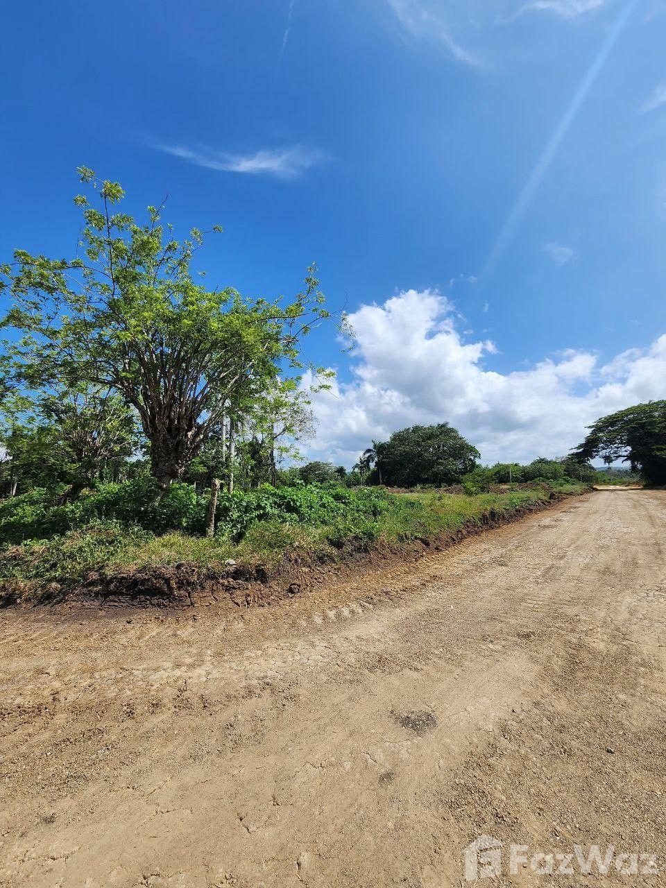 300 SqM Land Plot in San Felipe De Puerto Plata — photo 3