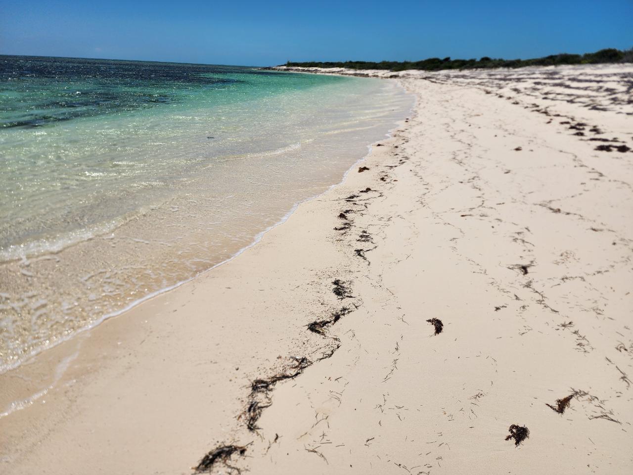 5 Acre Commercial Beachfront Lot — photo 3