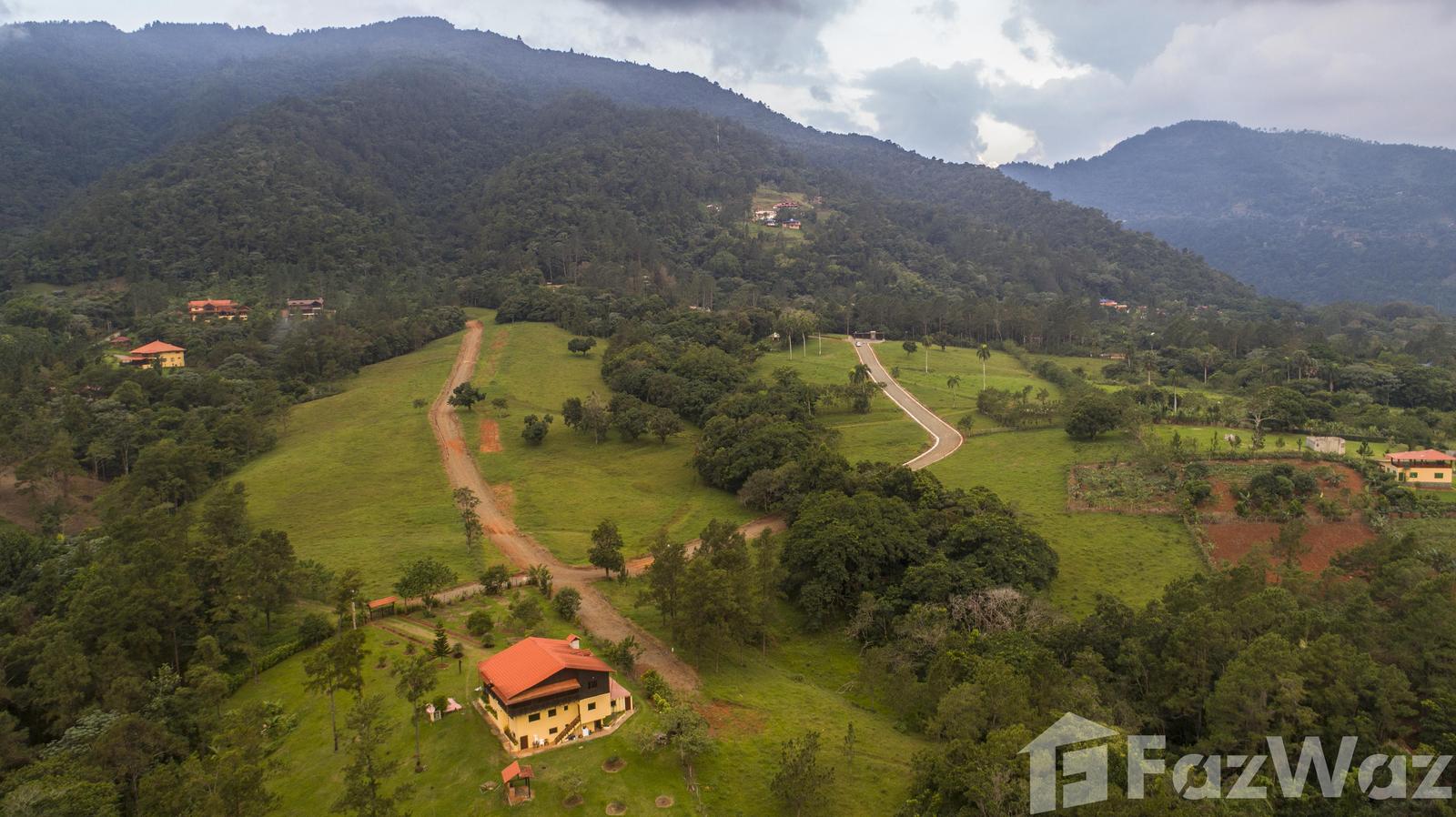 Land for sale in Jarabacoa, La Vega — photo 4