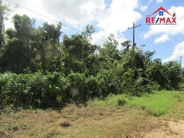 #2522 – A LARGE ONE ACRE LOT NEAR SAN IGNACIO, CAYO DISTRICT — photo 3