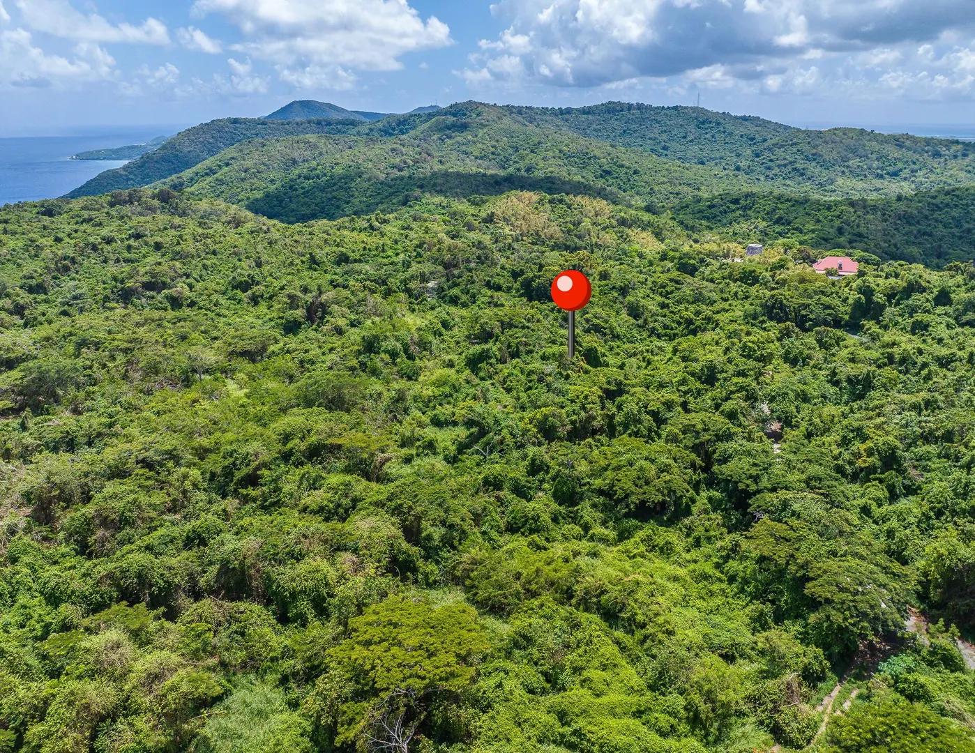 23.11 Acre Undeveloped Lot in St. Croix, US Virgin Islands — photo 5