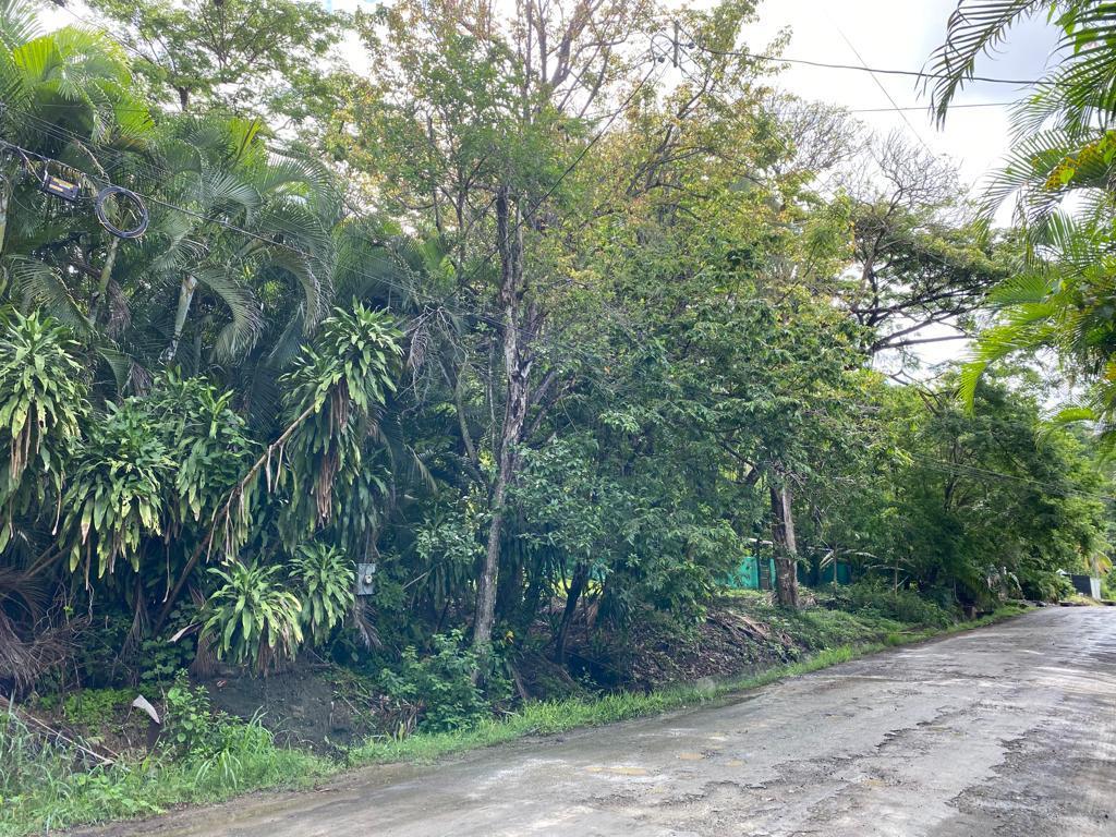 13,016 Sq M of Land for Sale, Playa Hermosa, Santa Teresa, Puntarenas, Costa Rica — photo 5
