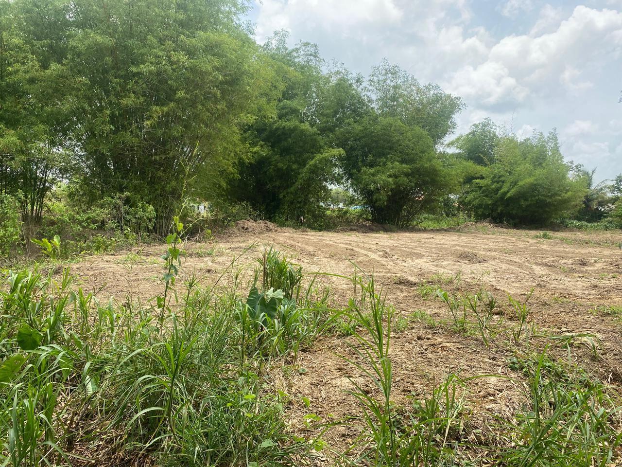 Residential Land in Sangre Grande — photo 1