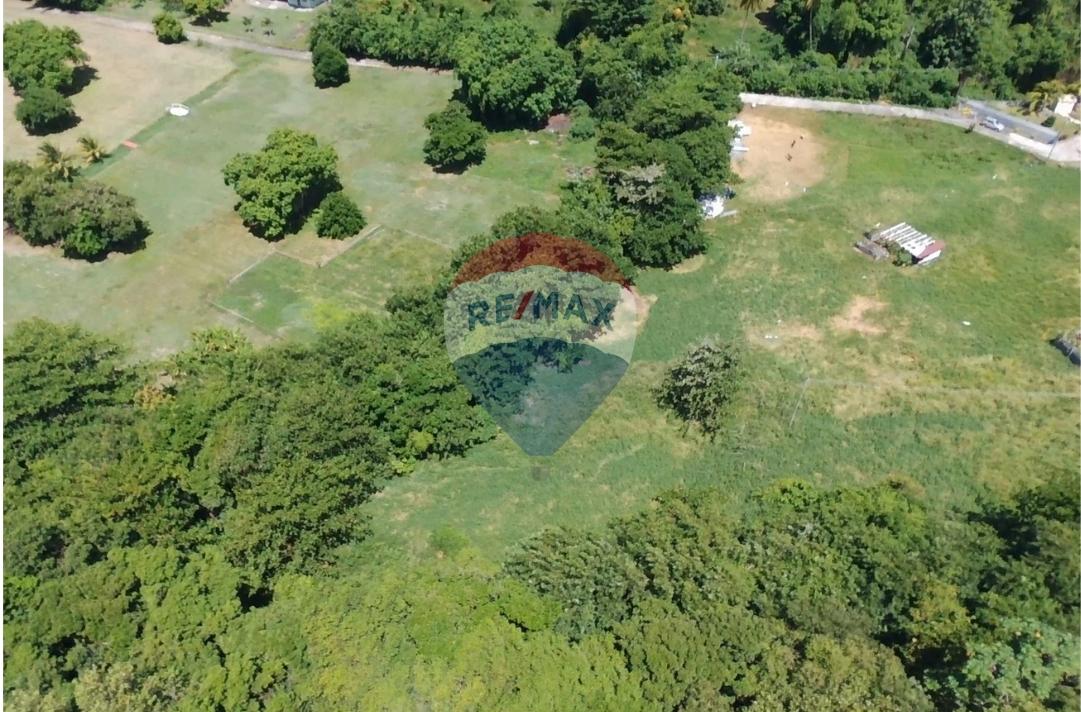 PROSPECT LOT #13 — photo 4