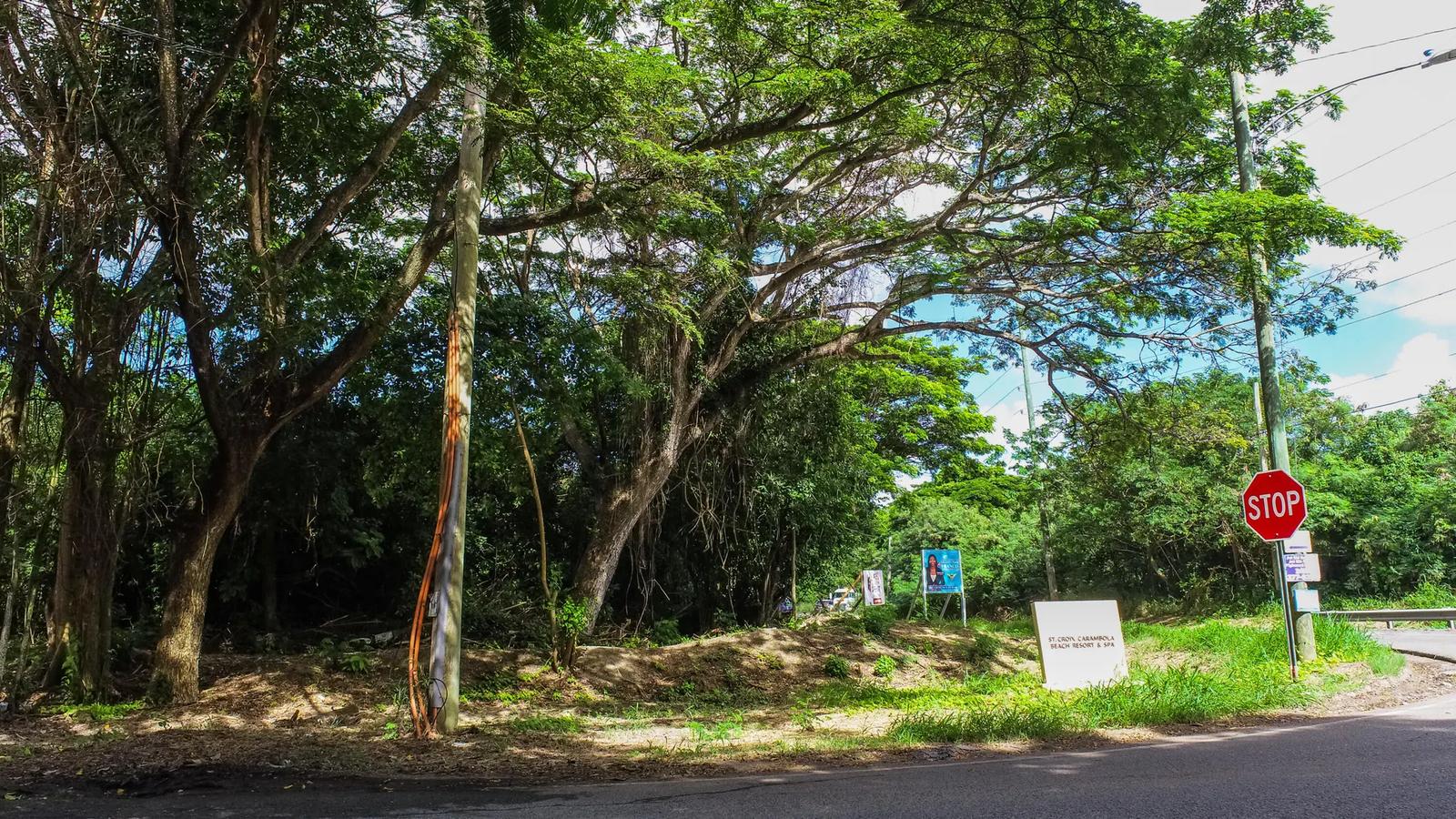 2.65 Acre Lot — photo 4