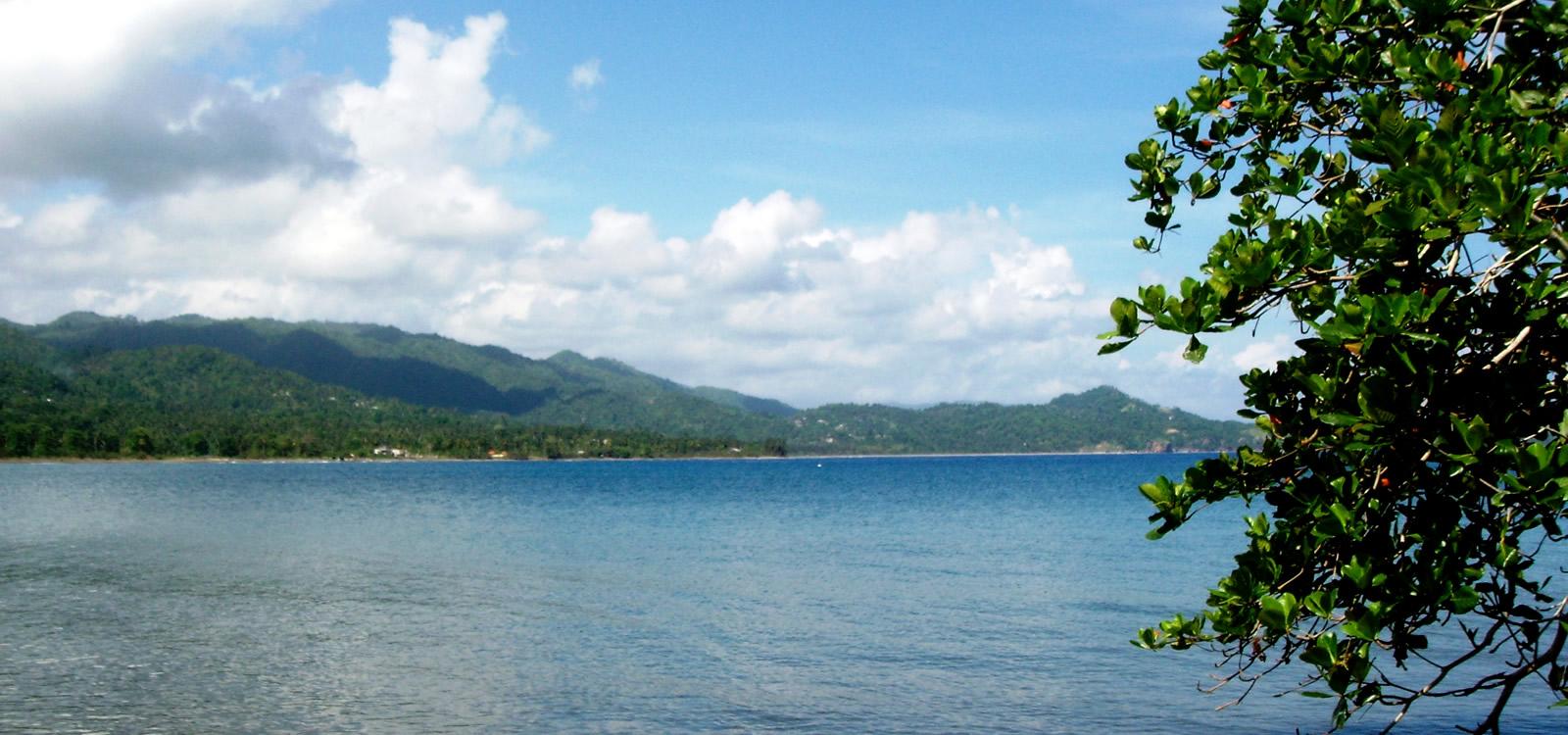 284 Acres Beachfront Land for Sale, Portland, Jamaica — photo 2