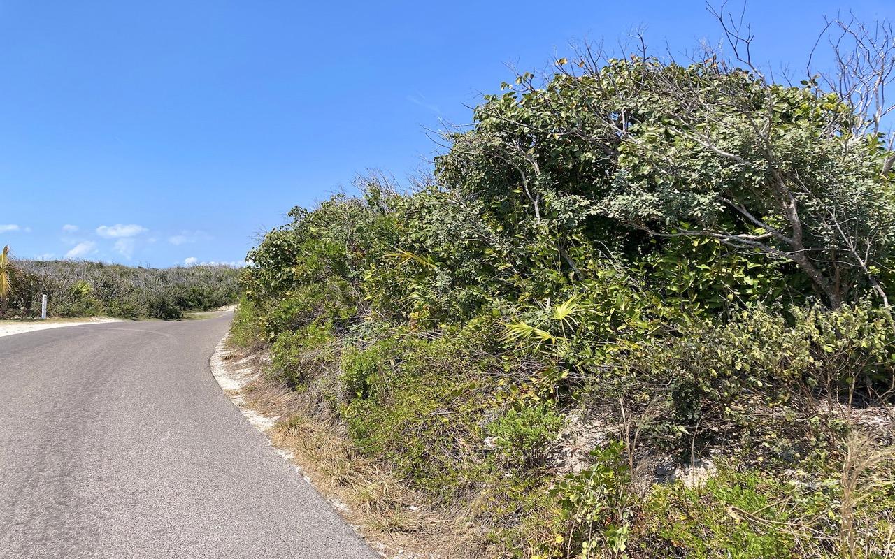 Lot 85, Dolphin Beach Estates — photo 4