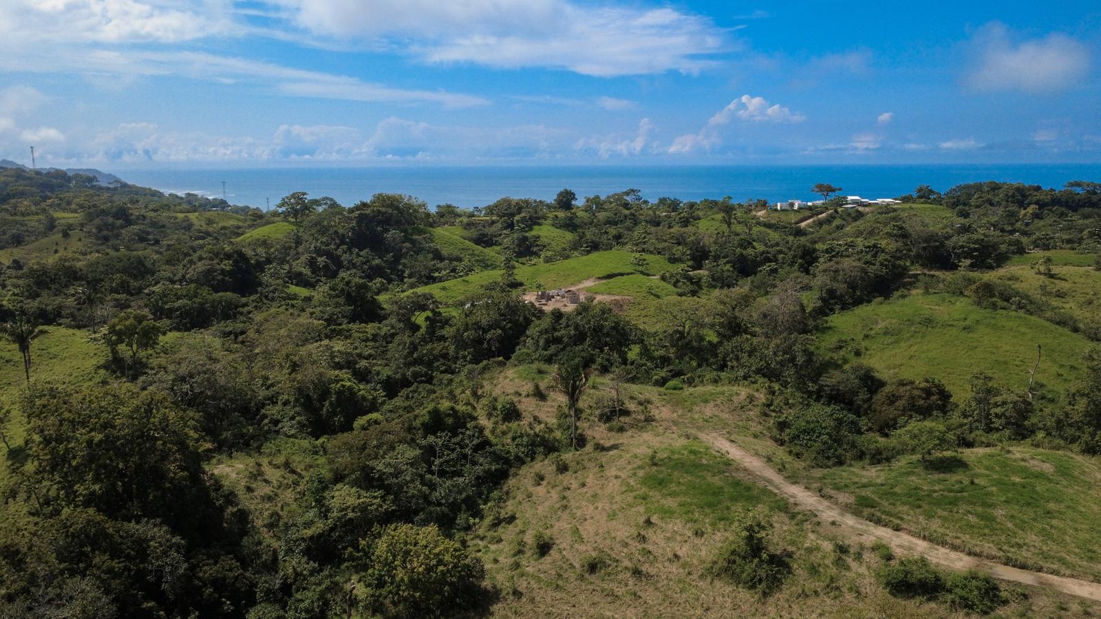 1.24 Acre Ocean-View Lot for Sale, The Ark, Santa Teresa, Costa Rica — photo 2