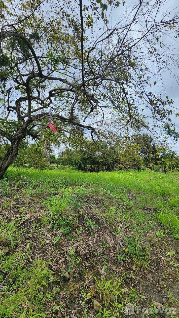 Live Between the Sea and the Mountains in Puerto Plata Land Plot — photo 2