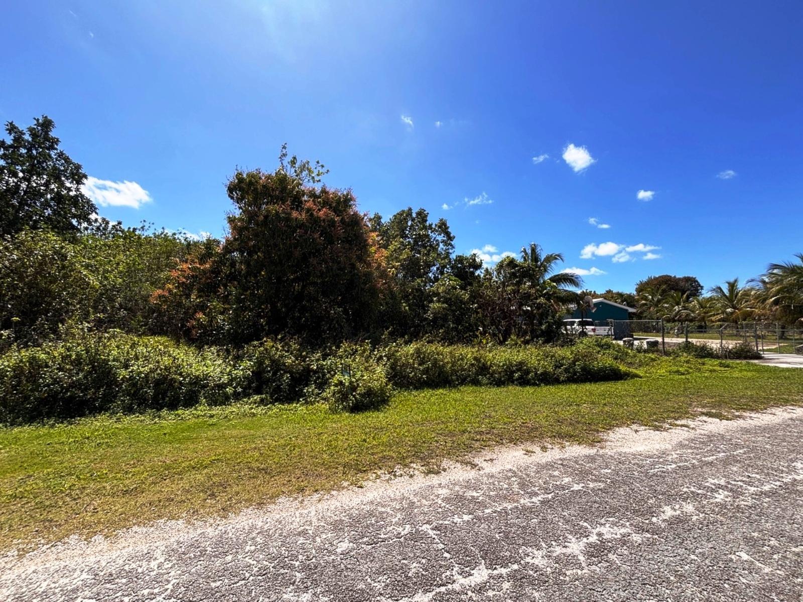 GREENING GLADE LOT — photo 4