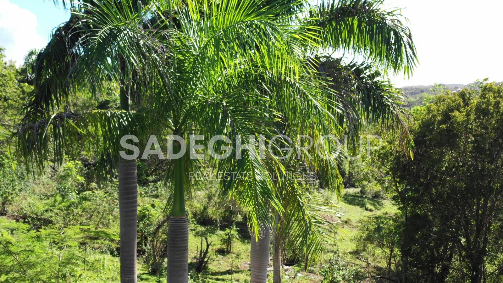 Breathtaking Land For Sale In El Choco Sosua — photo 3