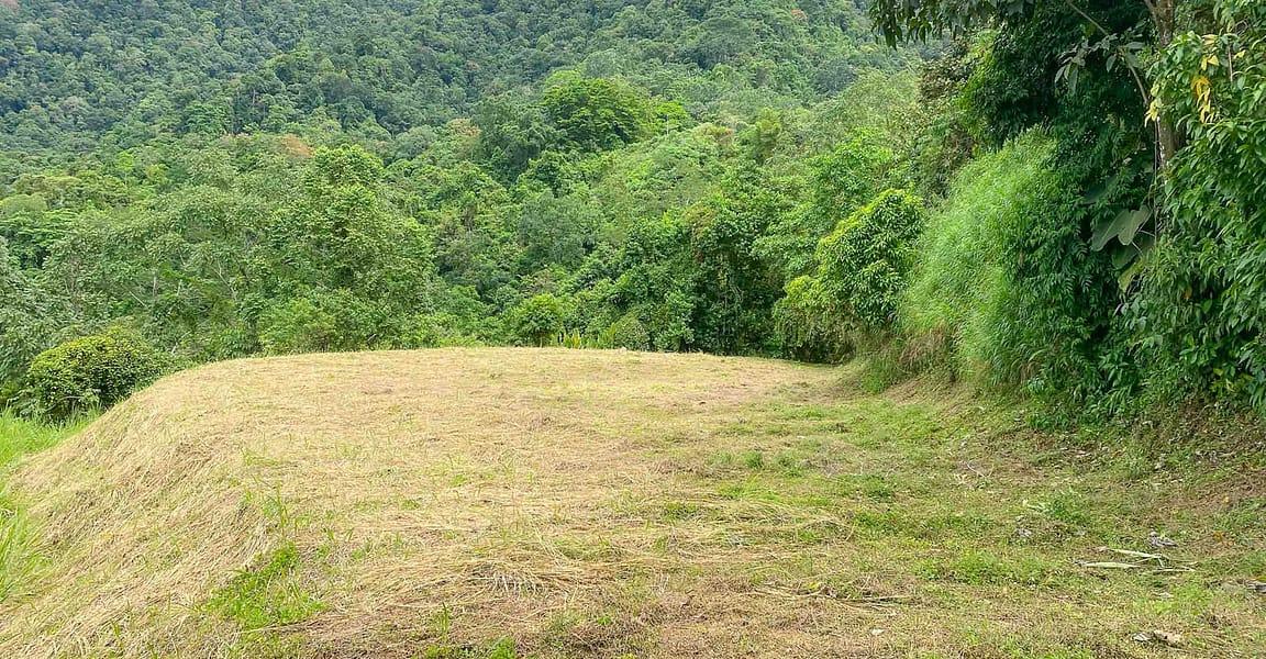 9 Acres of Ocean-View Land for Sale, San Buenas, Ojochal, Puntarenas, Costa Rica — photo 3