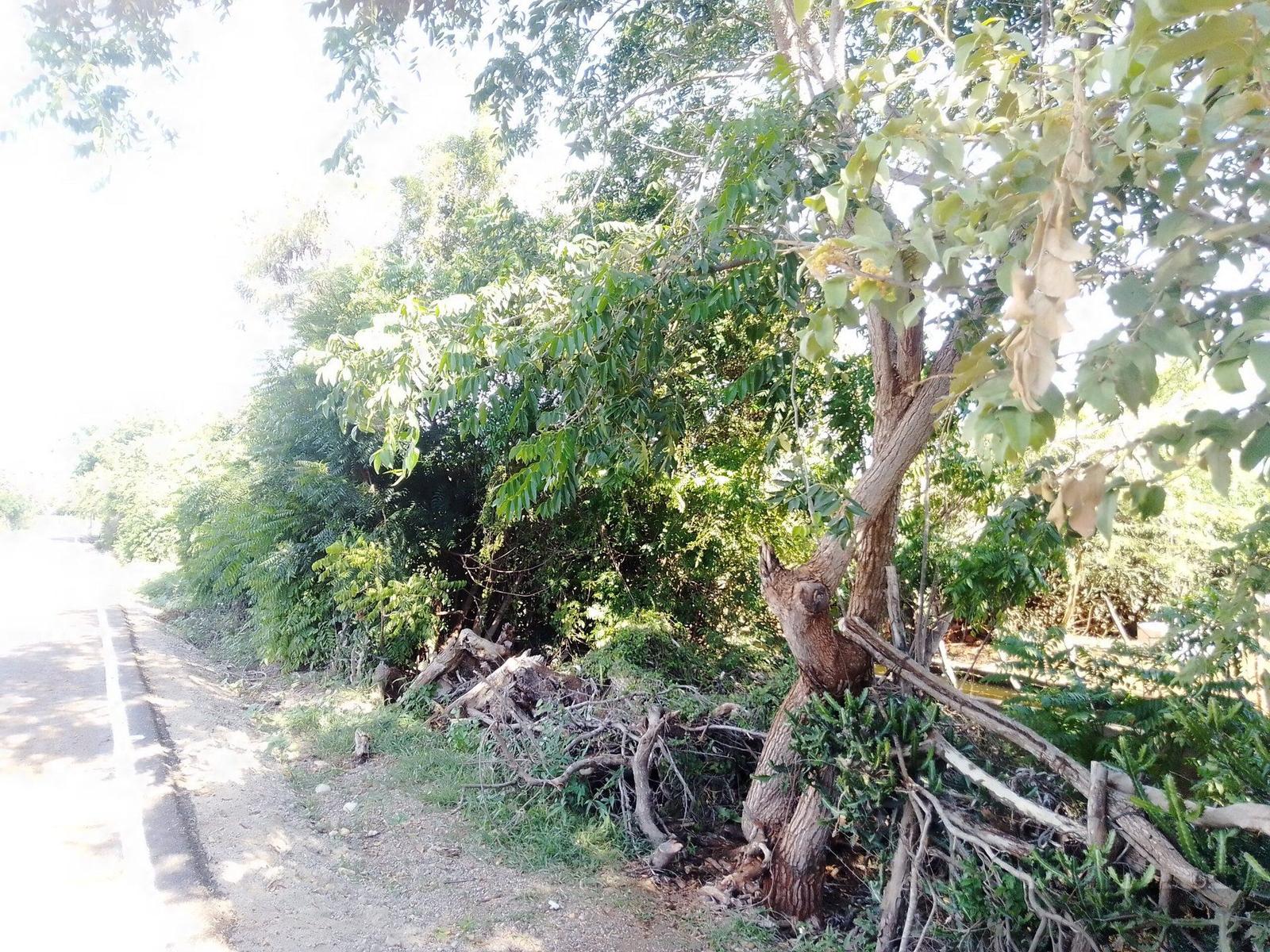 Prime Development Land for sale in Luperón Near Beach — photo 4