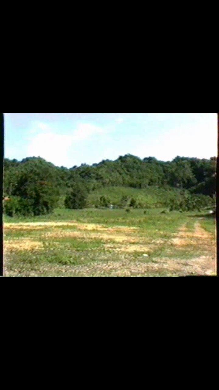 10 acres land in Bo. Higuillar, Dorado — photo 3