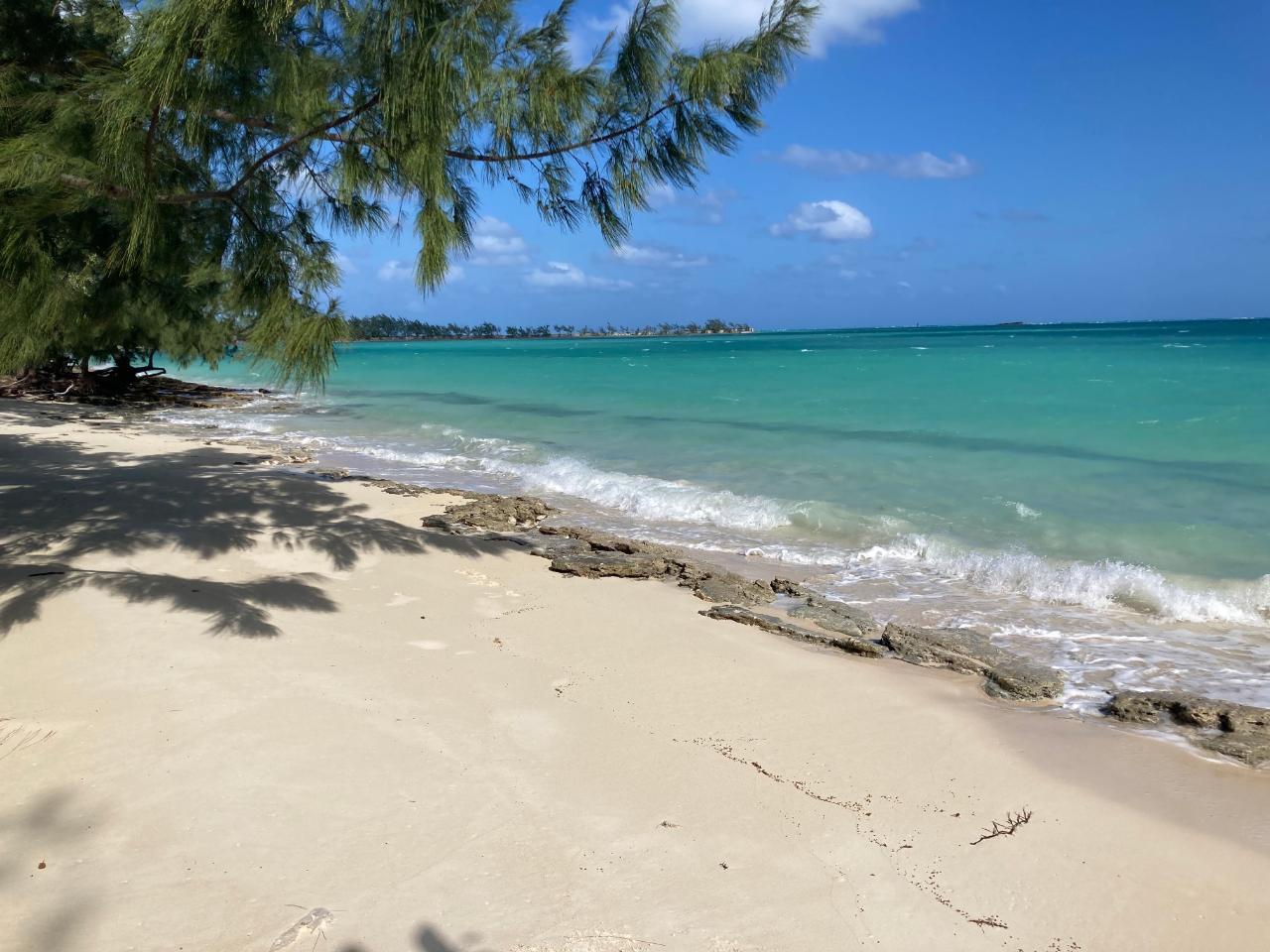 JOHNSON ROAD BAY — photo 1