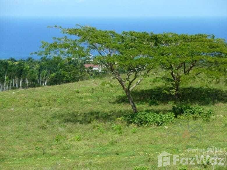 Land for sale in Cabrera Hills — photo 2