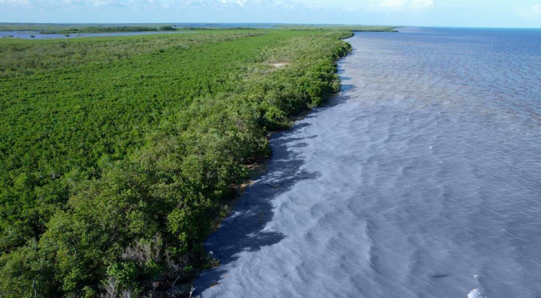 4000 Acres of Brilliant Waterfront Farmland North of Belize City — photo 4