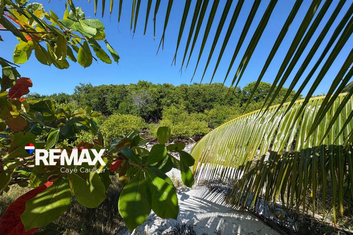 Oversized Off-Grid Lot at Mayan Sunrise — photo 1