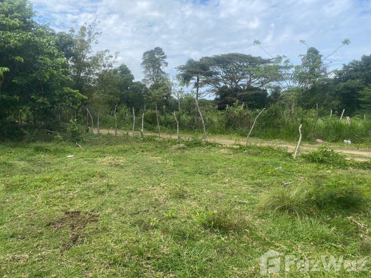 🌿 EXCLUSIVE INVESTMENT OPPORTUNITY IN MUÑOZ 🌿 — photo 3