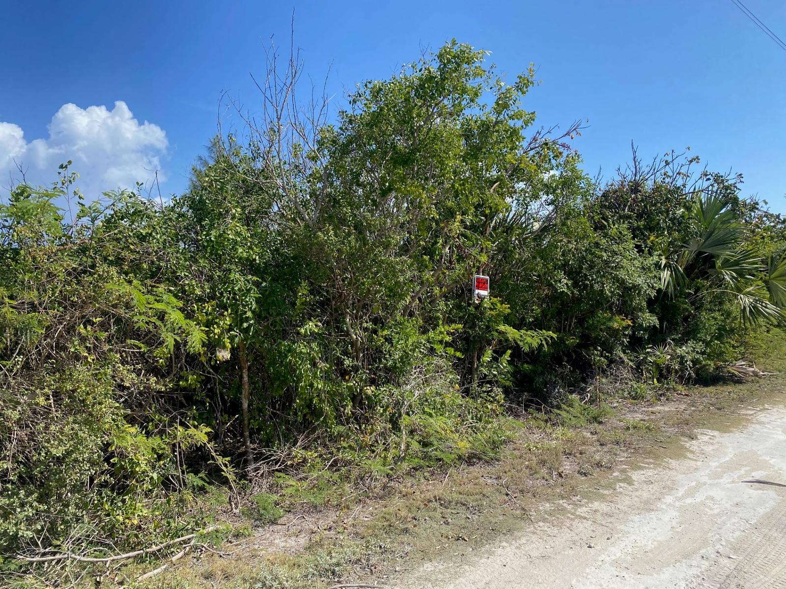 Vacant Land for sale in Rainbow Bay, Bahamas — photo 3