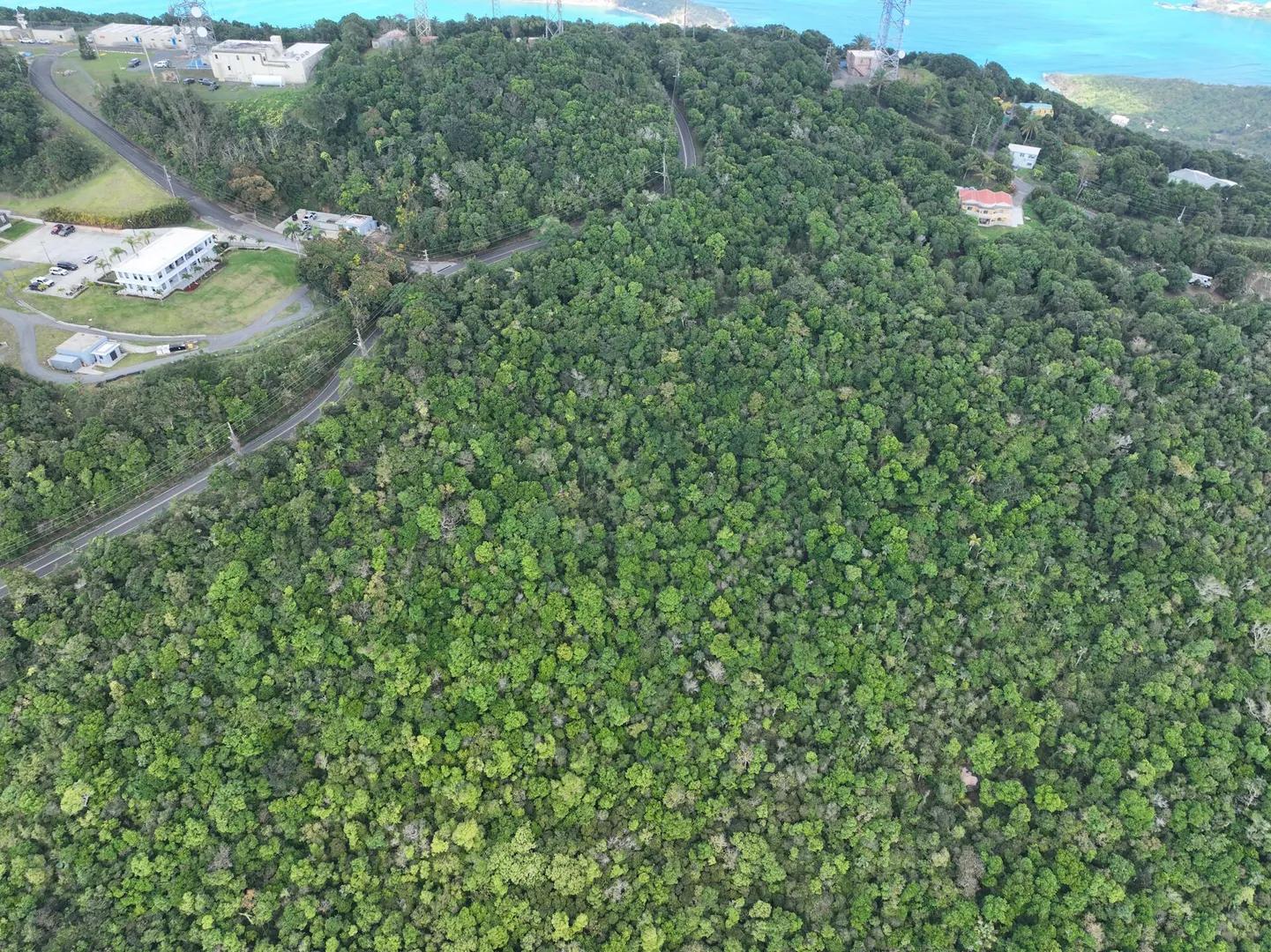 2ba & 2bb Crown & Hawk Ss Homesite — photo 2