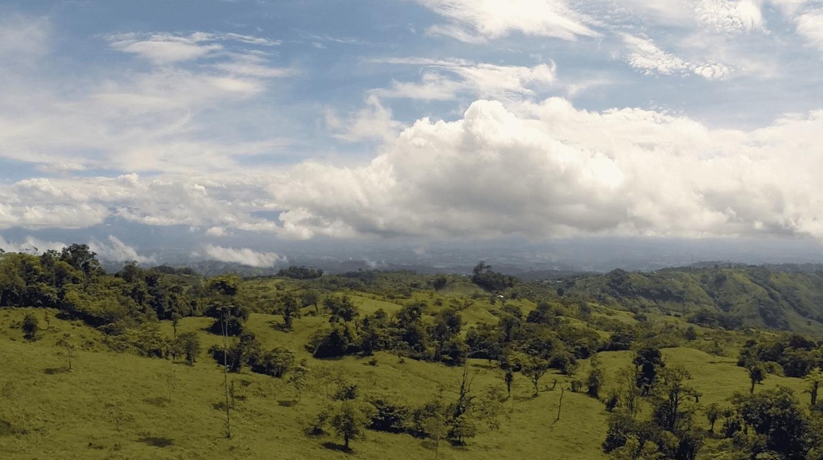 79 Acres of Farm Land for Sale, Uvita, Puntarenas, Costa Rica — photo 5