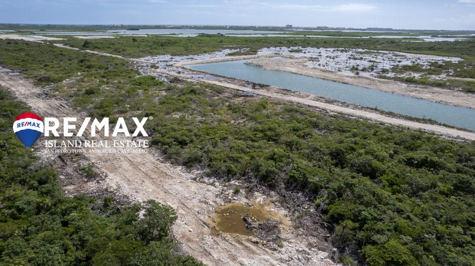 Oversized Lot in Habitat Belize at Secret Beach — photo 1