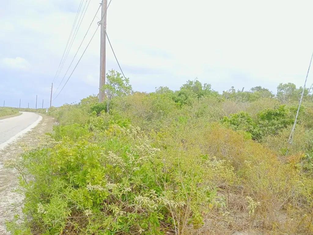 Development plot in Lothian Tract, Graham Harbor — photo 4