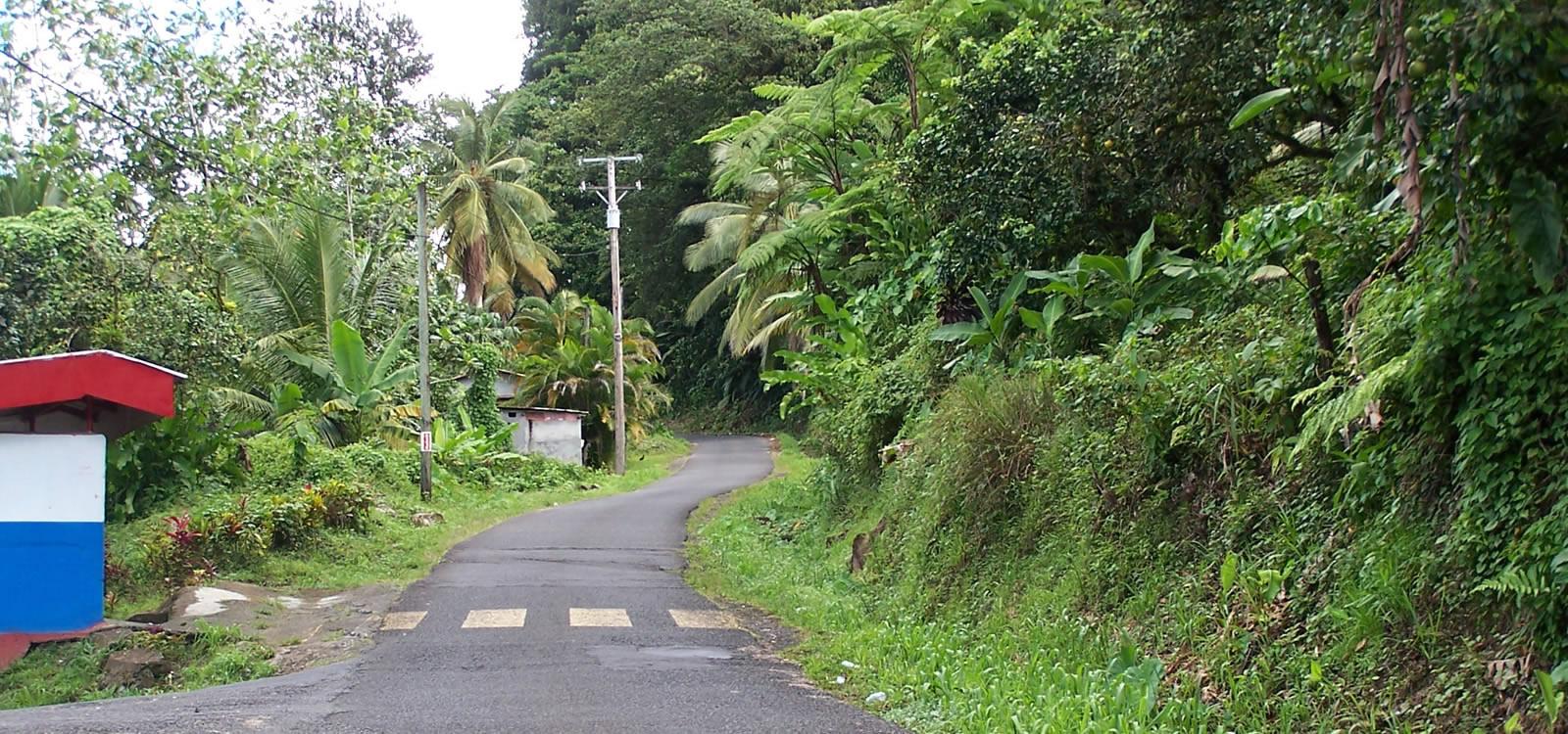 33 Acres of Farm Land for Sale, Central Dominica — photo 1