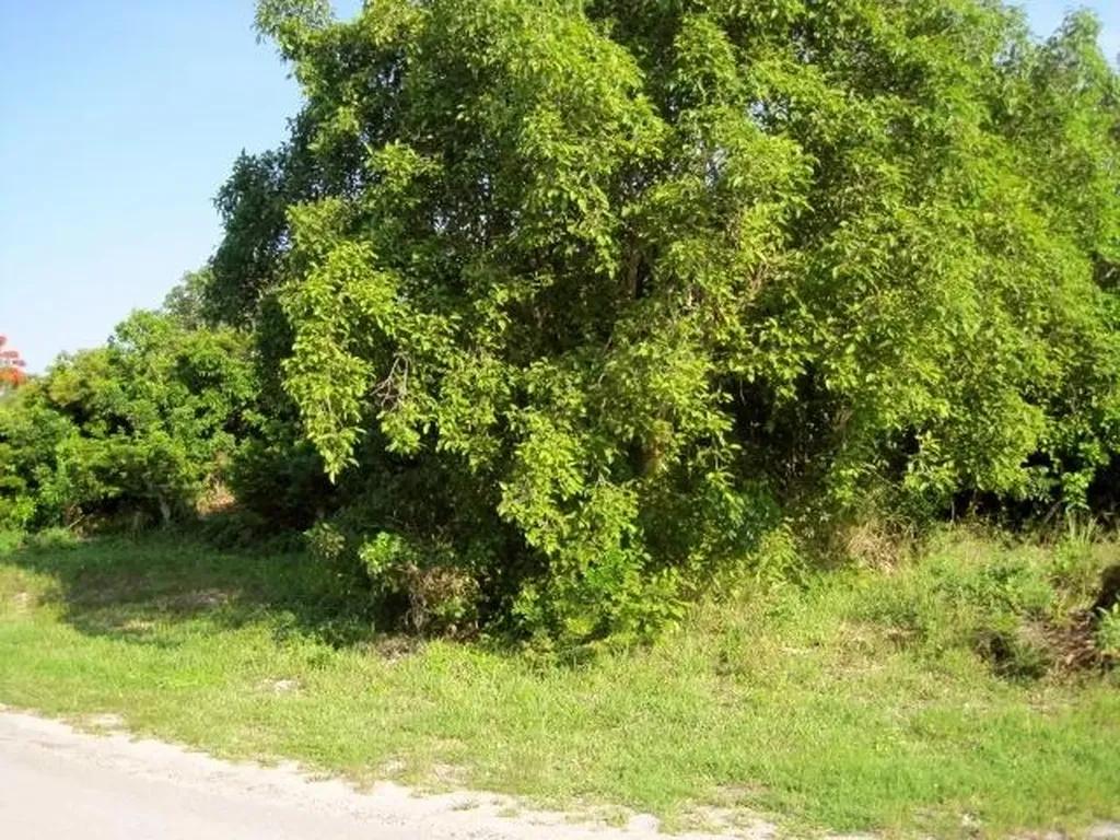 Canal front lot in Freeport, Grand Bahama — photo 3