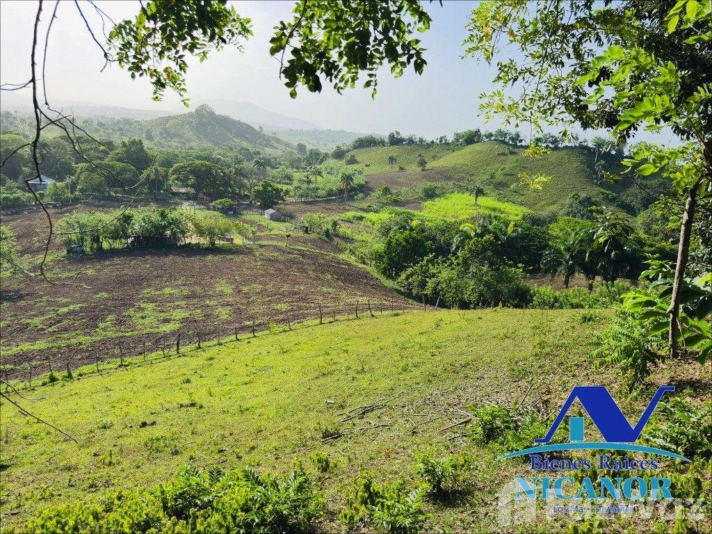 278-acre farm for sale — photo 5
