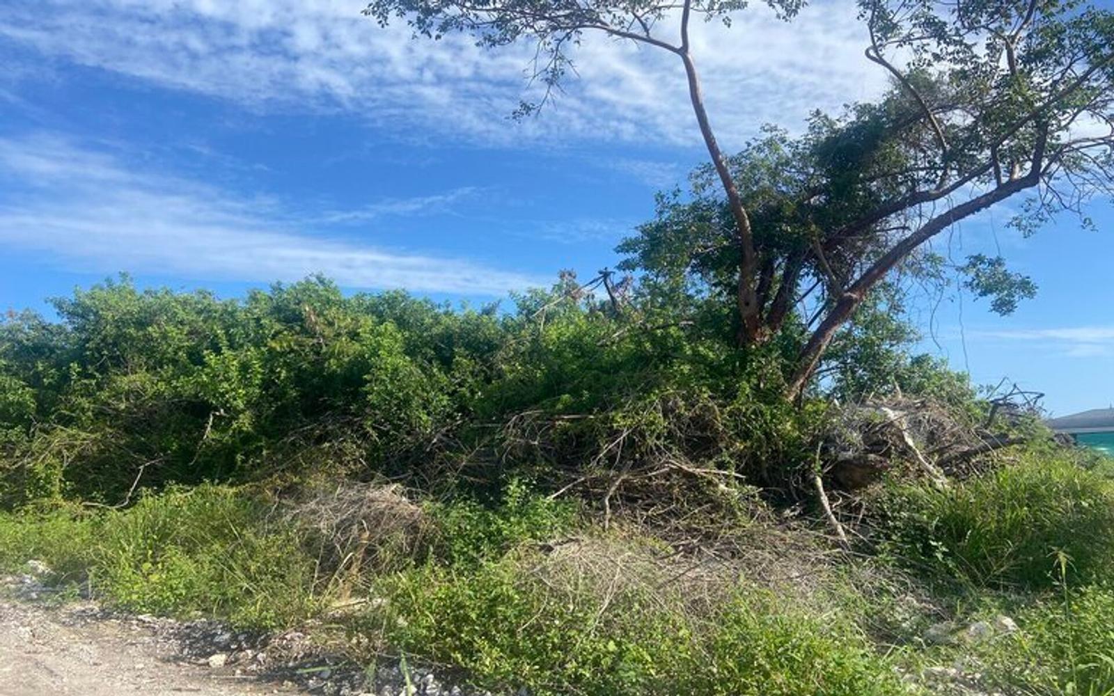 Multi-family Lot Off Carmichael Road - MLS 56678 — photo 1