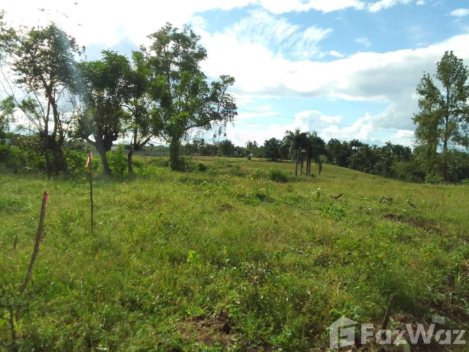Land for Sale at Carr. La Victoria — photo 1