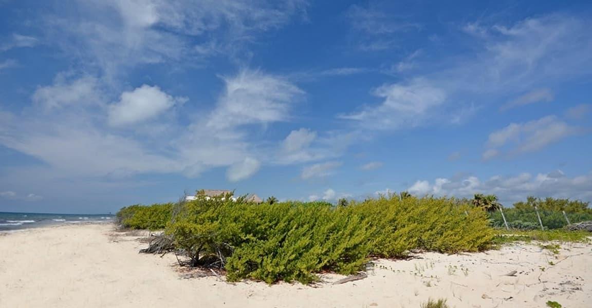 0.48 Acres of Beachfront Land for Sale, Puerto Morelos, Quintana Roo, Mexico — photo 2