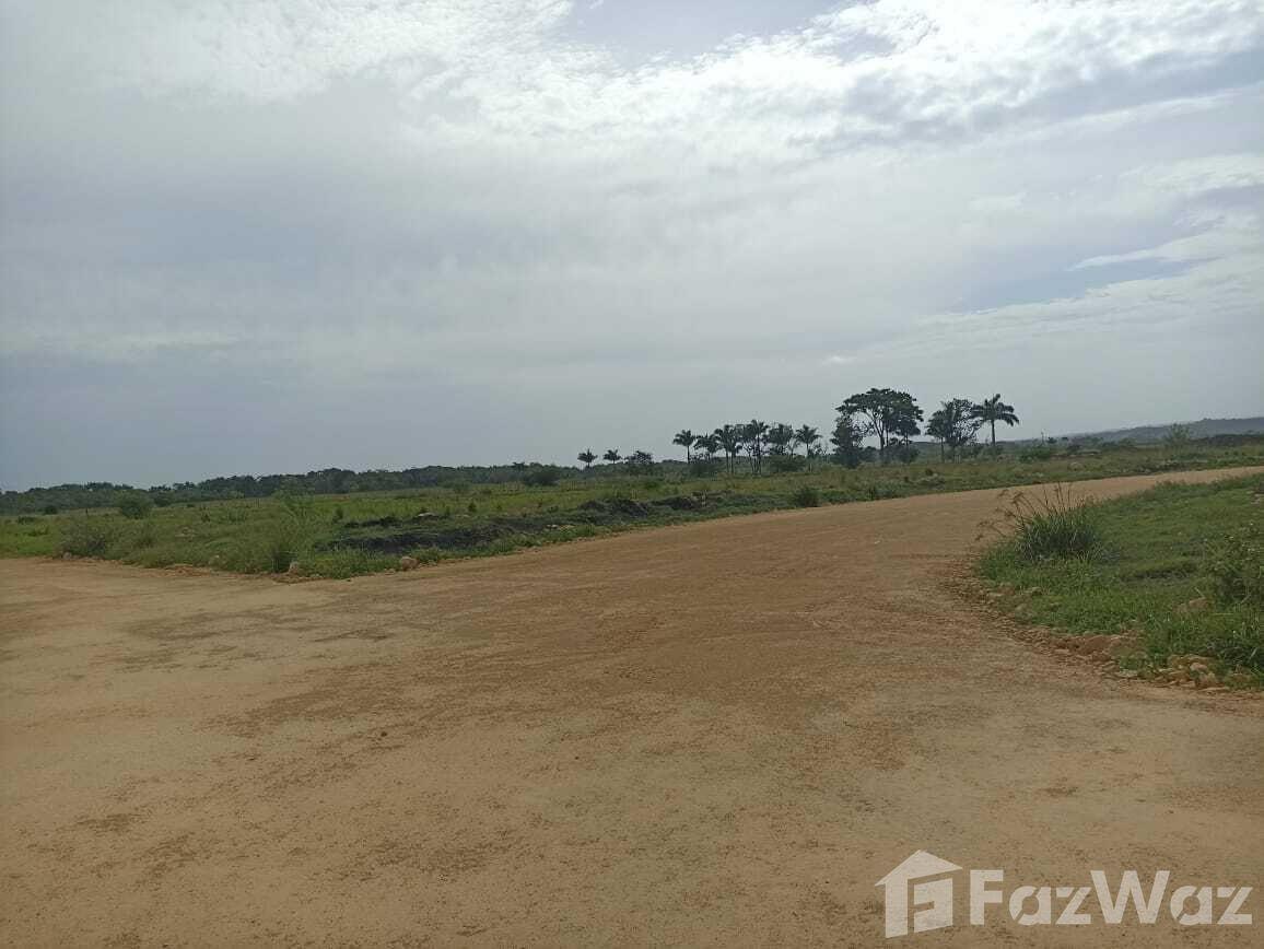 Land for sale in San Felipe De Puerto Plata, Dominican — photo 5