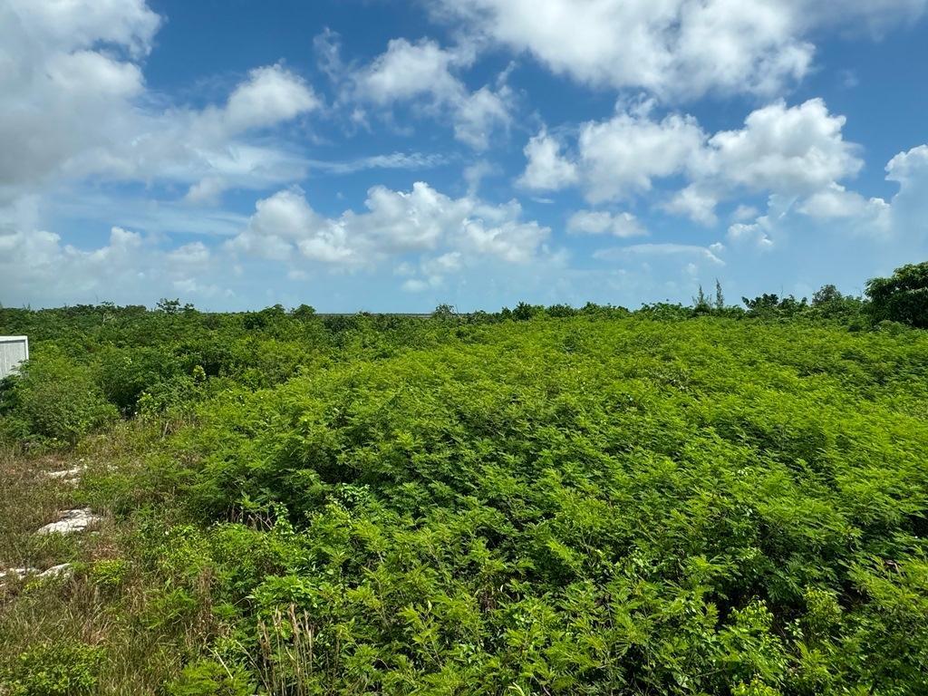 38B SWEETINGS CAY — photo 4