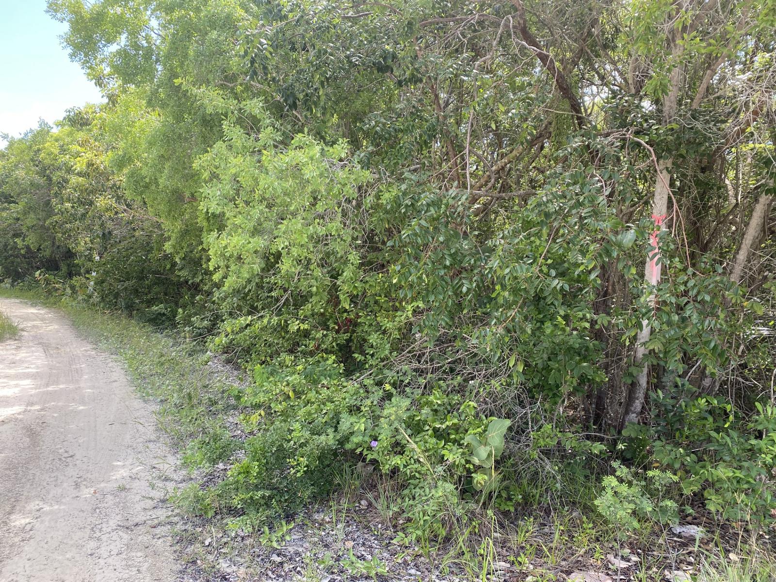 Vacant Land for sale in Rainbow Bay, Bahamas — photo 4