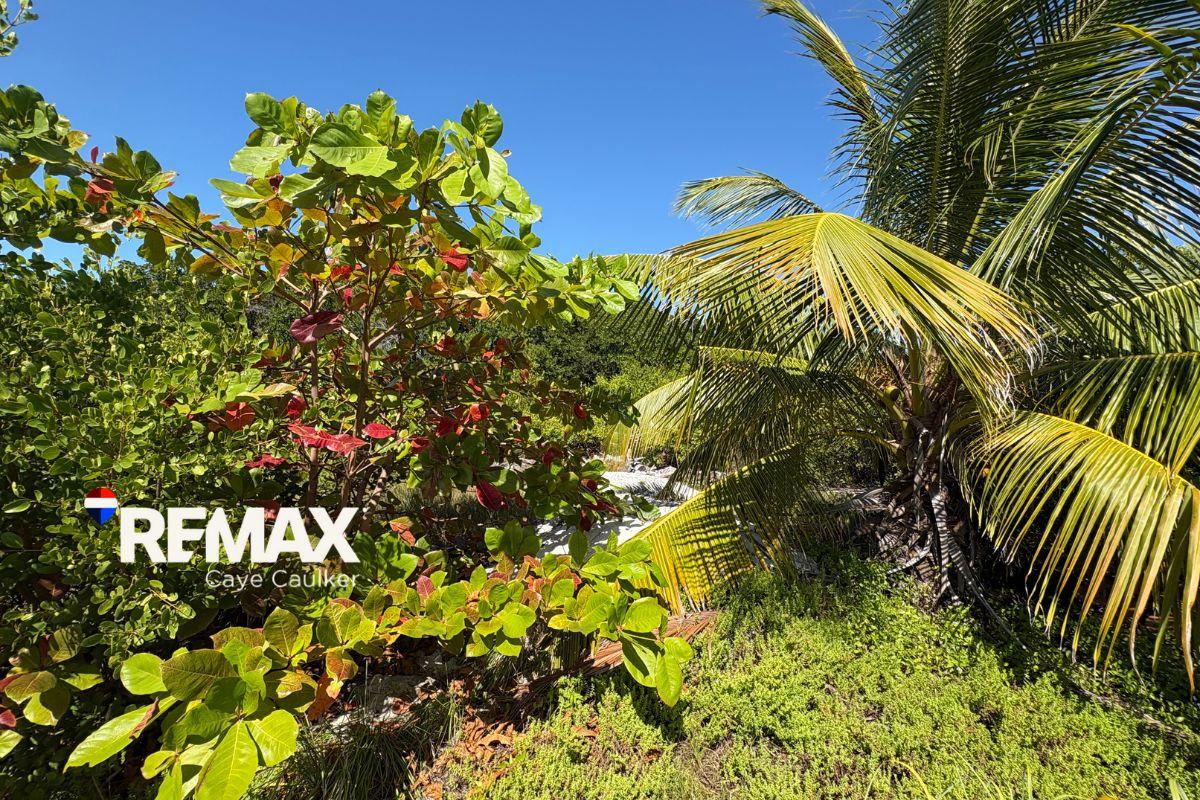 Oversized Off-Grid Lot at Mayan Sunrise — photo 2