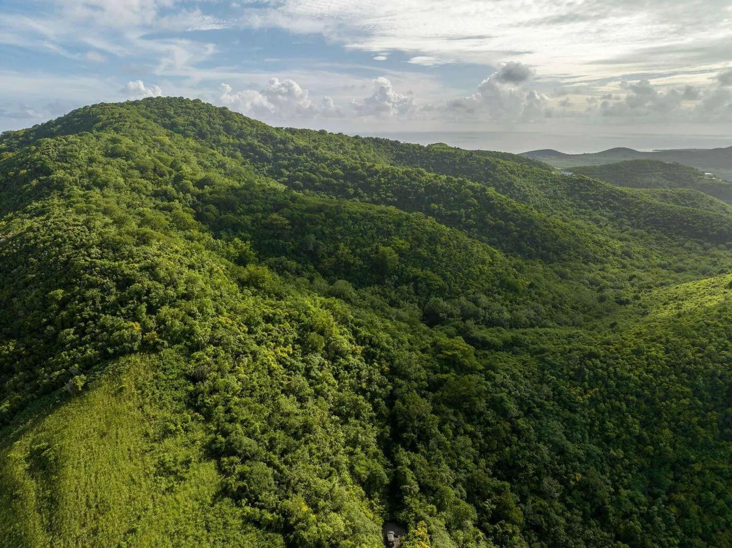 26.77 Acre Lot in St. Croix — photo 4