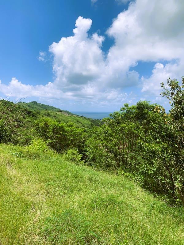 Massive Multipurpose Land For Sale - Excellent Opportunity in Gros-Islet — photo 4