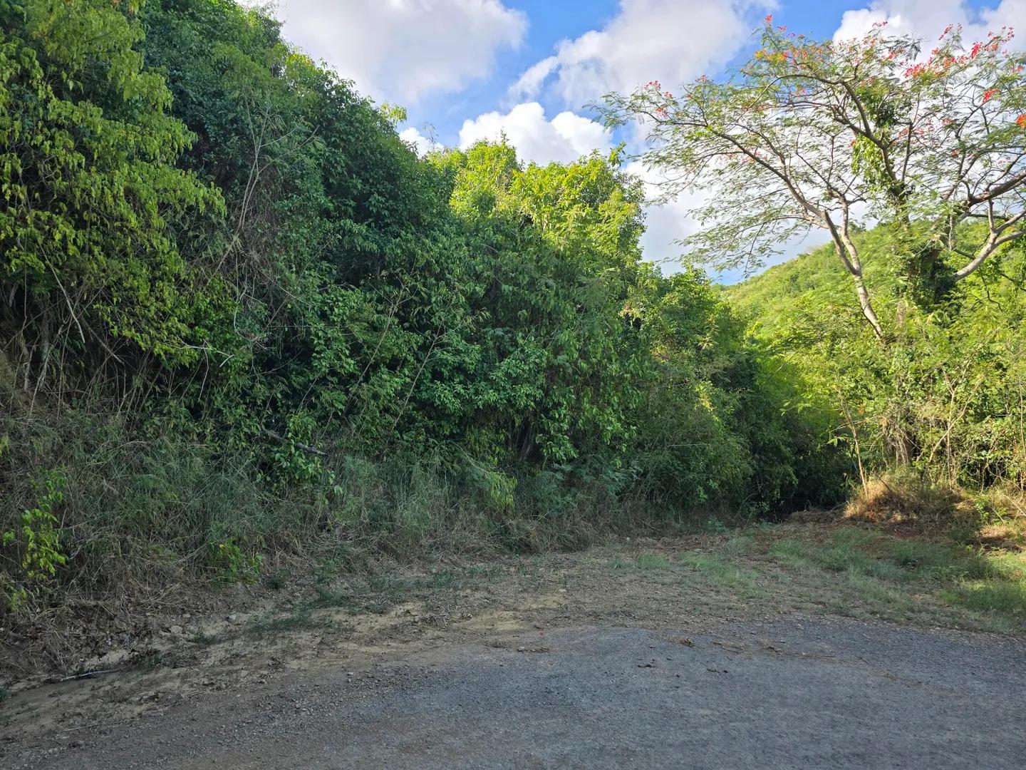 0.95 Acre Lot in US Virgin Islands — photo 2